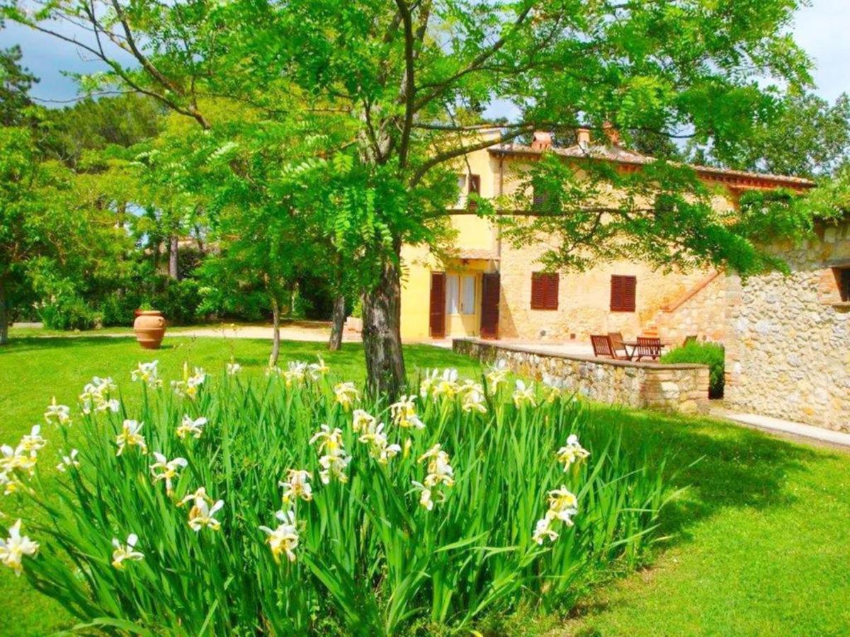 Agriturismo Fattoria Il Piano - Appartamento Antica Cucina - San Gimignano Ngoại thất bức ảnh