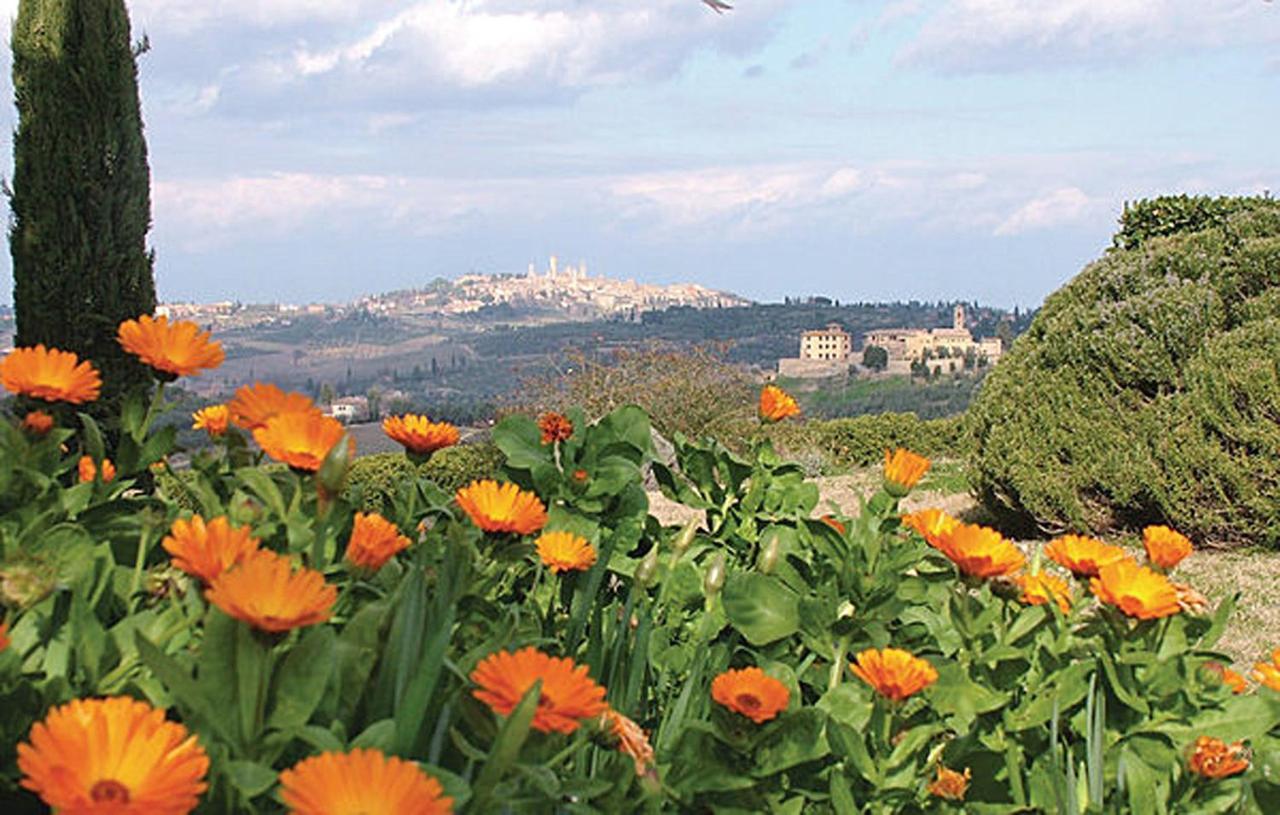 Agriturismo Fattoria Il Piano - Appartamento Antica Cucina - San Gimignano Ngoại thất bức ảnh